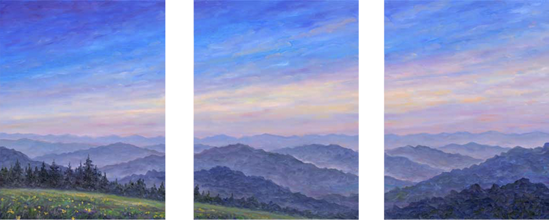 Triptych - Smoky Mountain Wildflowers Panorama