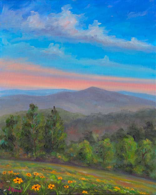 Wildflowers along the Blue Ridge Parkway near Asheville,NC