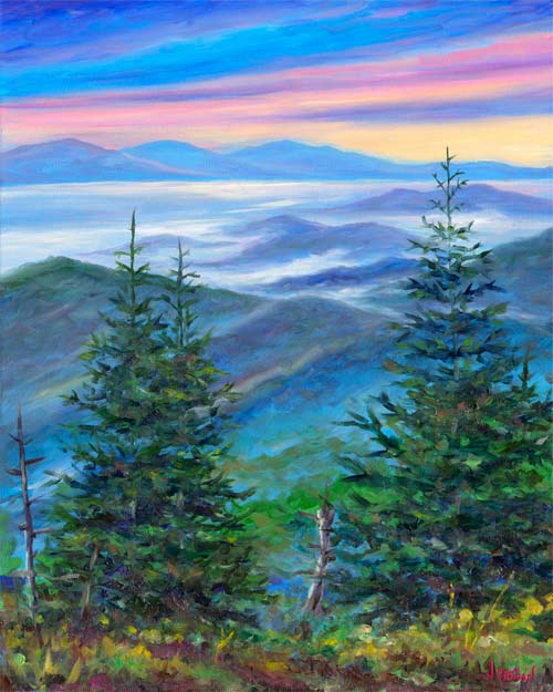 View from Clingman's Dome in the middle of Great Smoky Mountain National Park.