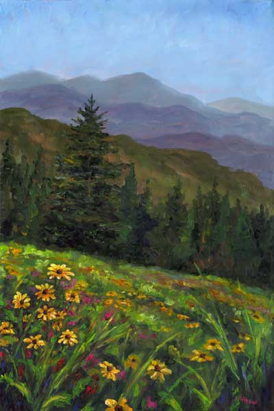 Wildflowers in Bloom along the Blue Ridge Parkway in the Appalachian Mountains near Boone NC.
