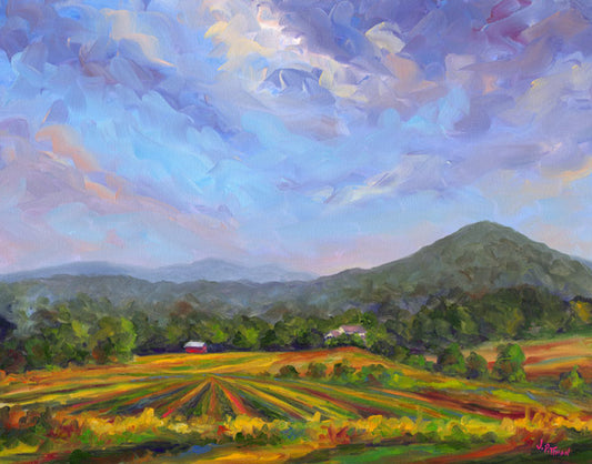 Mills River Valley in WNC near Asheville an Hendersonville.
