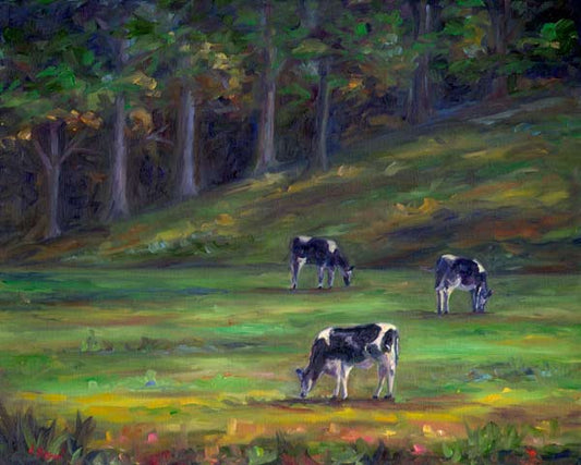 Morning Cows grazing in a field.