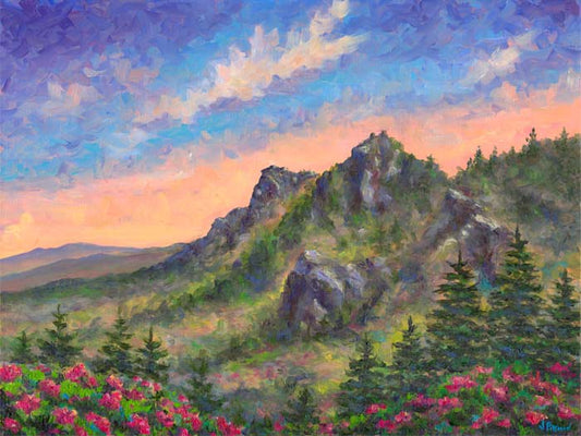 Grandfather Mountain in Bloom