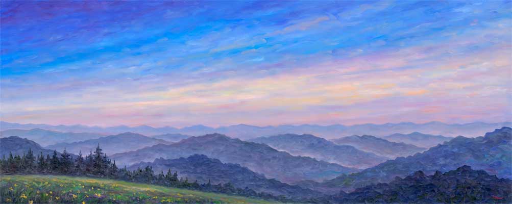 Panoramic view of Wildflowers near Great Smoky Mountain National Park.