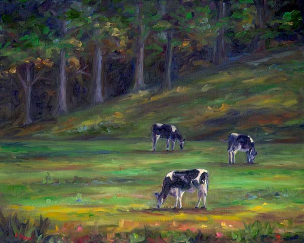 Morning Cows grazing in a field.